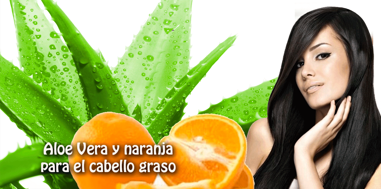 Aloe Vera y naranja para el cabello graso Salud y belleza