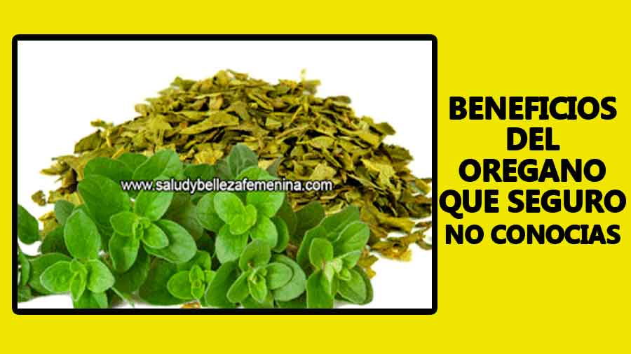 Beneficios del orégano que seguro no conocías