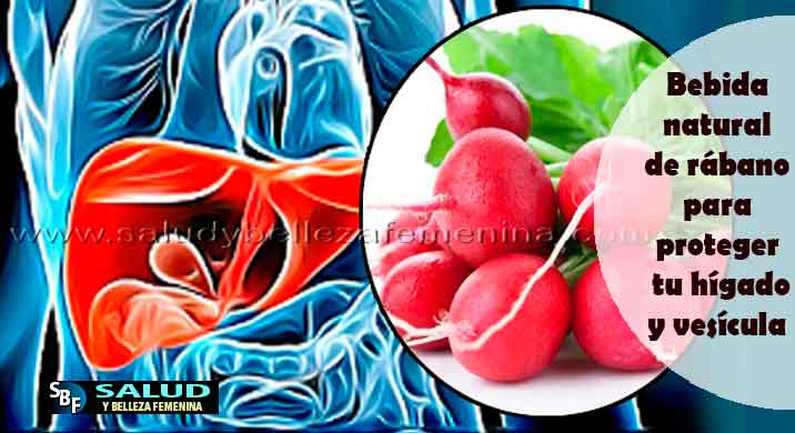 Bebida natural de rábano para proteger tu hígado y vesícula Bebida natural de rábano para proteger tu hígado y vesícula