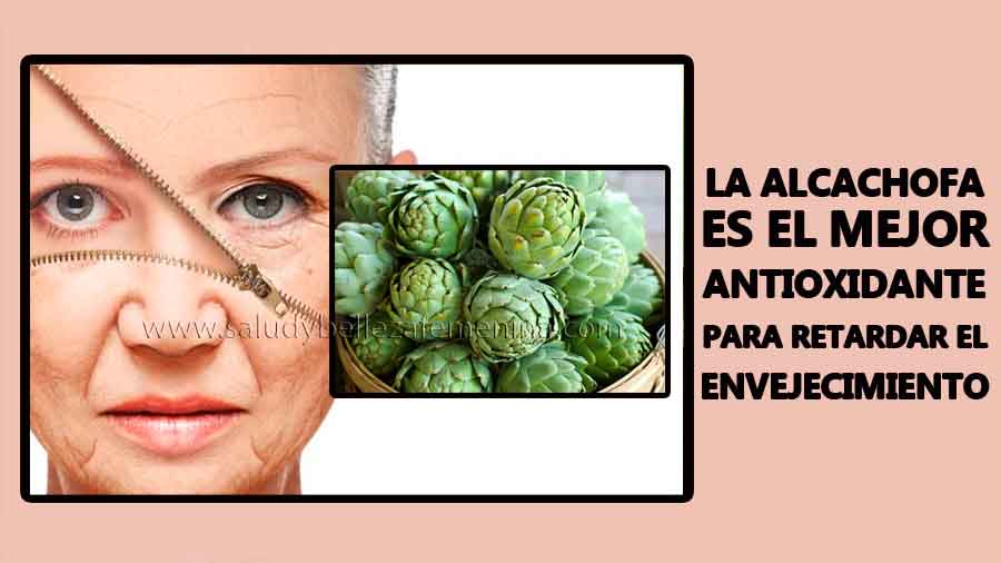 La alcachofa es el mejor antioxidante para retardar el envejecimiento