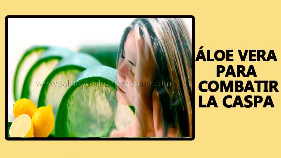 Áloe vera para combatir la caspa