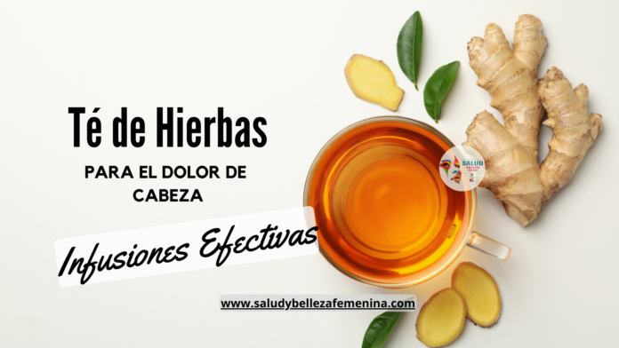 Té de Hierbas para elDolor de Cabeza Infusiones Efectivas Taza de té de hierbas y hierbas frescas